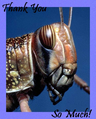 Card for John again!