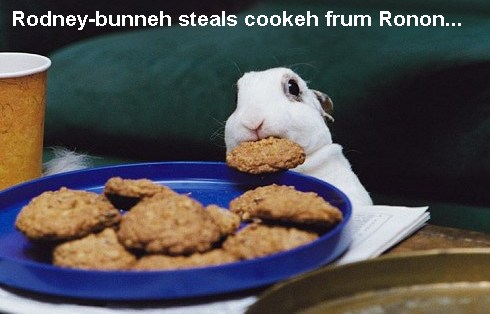 Rodney bunneh