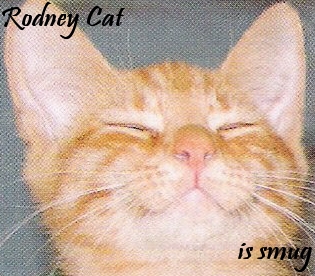 Rodney-cat