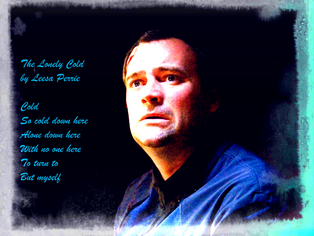 The Lonely Cold