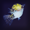 Pufferfish